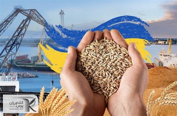 قیمت های جهانی با ادامه صادرات از اوکراین کاهشی شد
