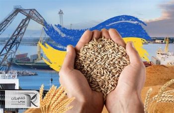 قیمت های جهانی با ادامه صادرات از اوکراین کاهشی شد