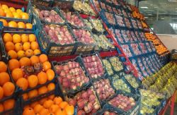 6 مانع صادرکنندگان میوه در نامه به رئیس جمهور مطرح شد