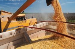  محموله 44 هزار تنی گندم وارداتی در بندر چابهار تخلیه شد 