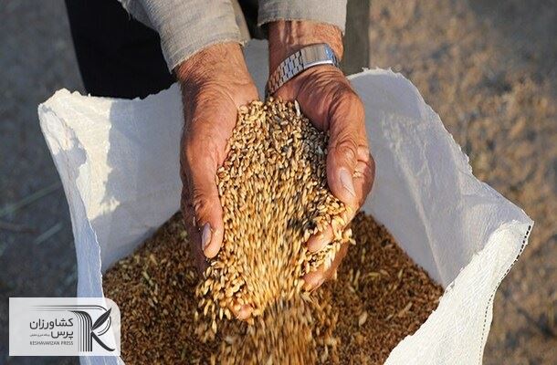 تب قیمت های جهانی بالا گرفت/رشد 17 دلاری قیمت گندم در یک روز
