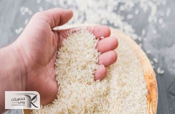 واردات در فصل برداشت قیمت برنج را کاهش نمی دهد