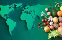 7 گام بلند‌ دولت برای‌ پایداری امنیت غذایی‌/ پیشرفت راهبرد‌ خودکفایی در محصولات کشاورزی