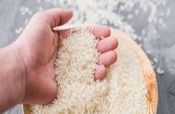 واردات در فصل برداشت قیمت برنج را کاهش نمی دهد