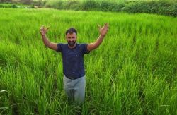 اعلام قیمت برنج هفته آینده/ تسهیلات نوسازی شالیکوبی‌ پرداخت می‌شود
