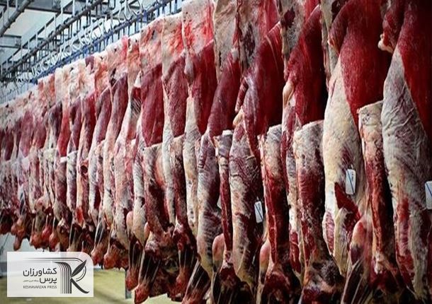گوشت گرم گوسفندی وارداتی از هفته آینده عرضه بازار می شود
