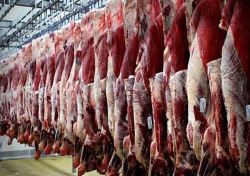 گوشت گرم گوسفندی وارداتی از هفته آینده عرضه بازار می شود