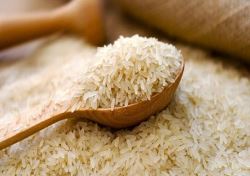 افزایش رکود در بازار برنج ایرانی با ‌واردات بی‌موقع/ وزارت جهاد در تعیین زمان صادرات و واردات تأمل کند
