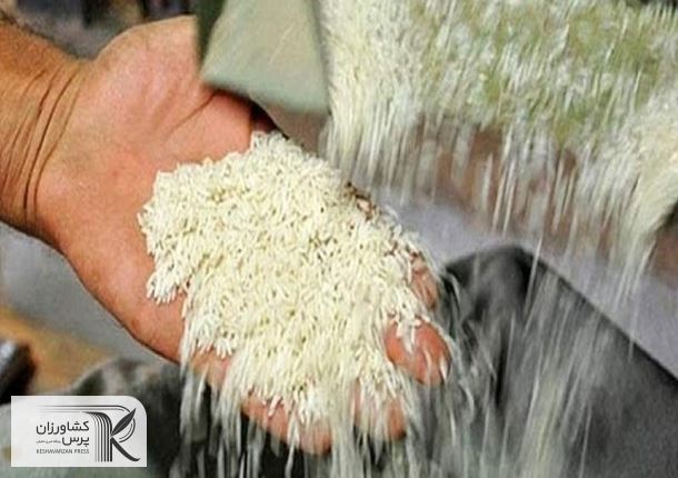 مشکلات ثبت سفارش و واردات برنج های خارجی