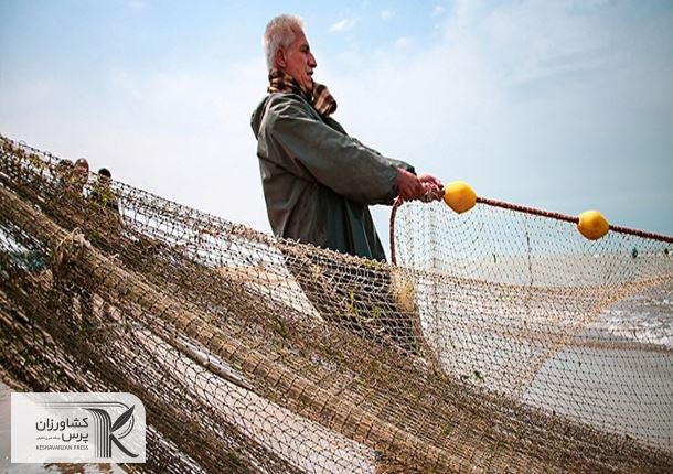 صید ماهیان استخوانی در شمال کشور ۶۶ درصد افزایش یافت