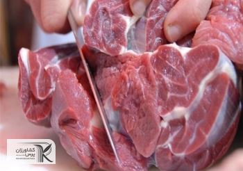 قیمت گوشت حدود ۱۰۰ تا ۱۵۰ هزارتومان کاهش می یابد/صادرات گوشت ممنوع است
