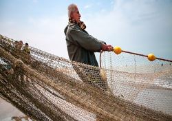 صید ماهیان استخوانی در شمال کشور ۶۶ درصد افزایش یافت