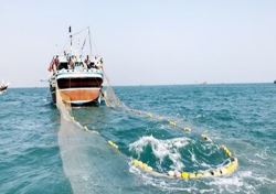 صید ترال با کشتی های ایرانی انجام خواهد شد